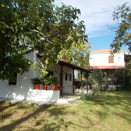 Villa Mina 波提斯缇卡 外观 照片
