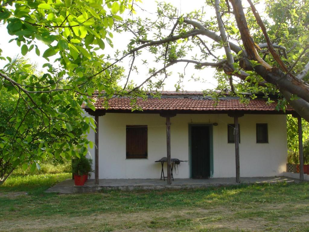 Villa Mina 波提斯缇卡 外观 照片