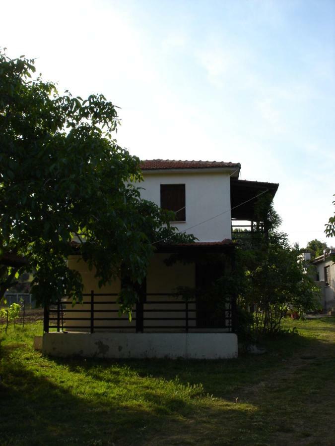 Villa Mina 波提斯缇卡 外观 照片
